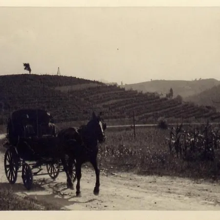 Pallavicini Bed and breakfast