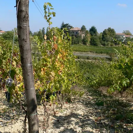 Pallavicini 4*