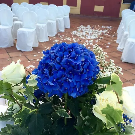 Pallavicini Serravalle Scrivia