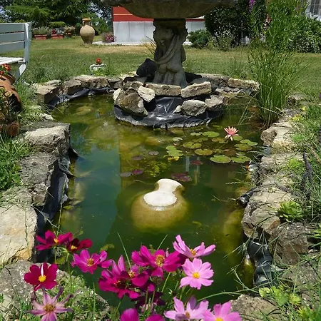 Bed and breakfast Pallavicini