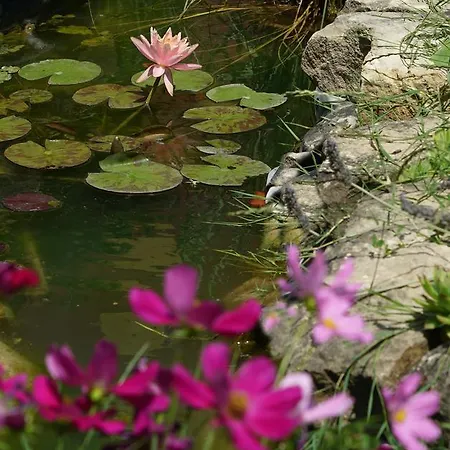 Bed and breakfast Pallavicini 4*