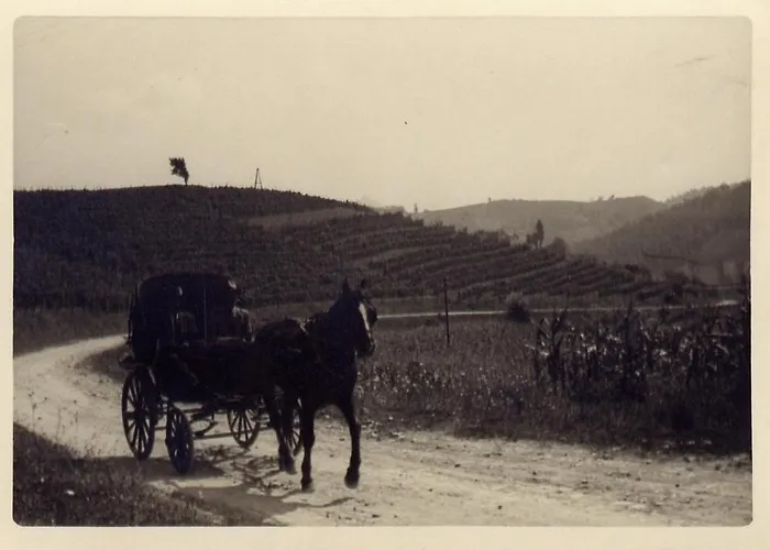 Pallavicini Bed & Breakfast