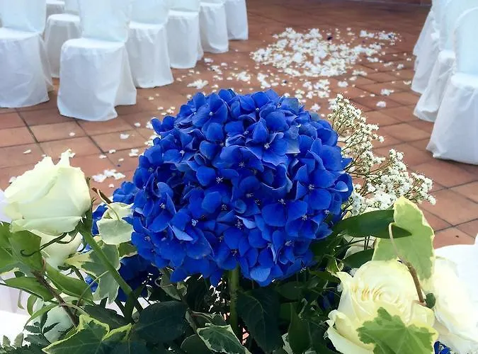 Pallavicini Serravalle Scrivia